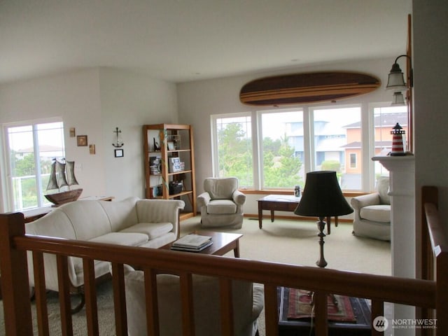 carpeted living area featuring a wealth of natural light