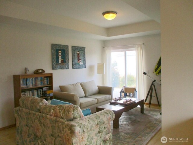 living room featuring wood finished floors and a tray ceiling