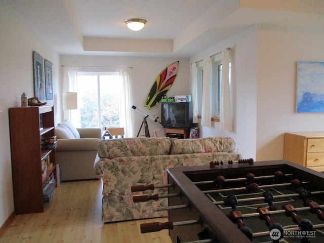 rec room with wood finished floors and a tray ceiling