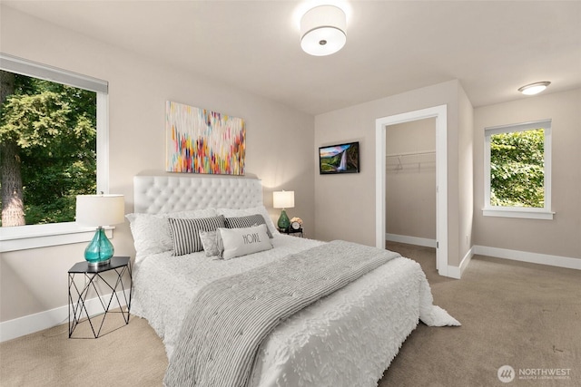 bedroom with baseboards, carpet, a spacious closet, and a closet