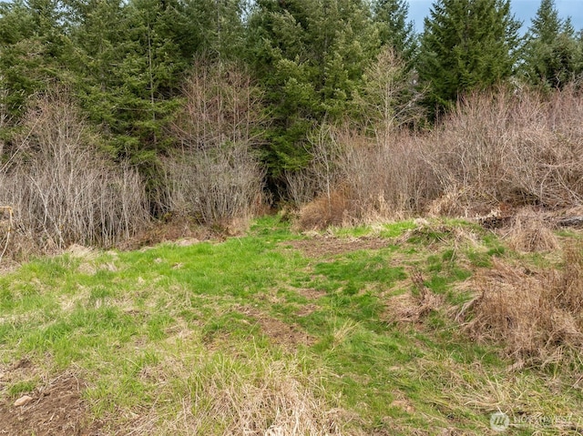 15903 456th St E, Eatonville, WA 98328
