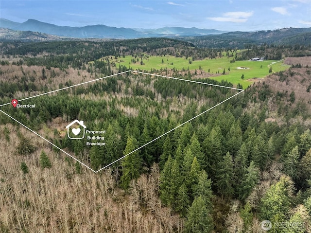 15903 456th St E, Eatonville, WA 98328 - photo 1