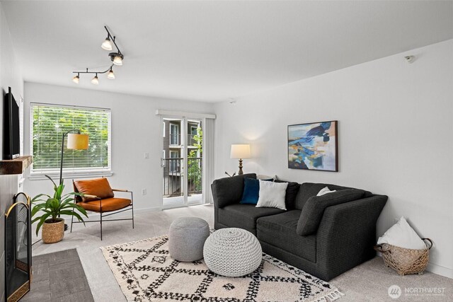 700 Front St S Unit B301, Issaquah, WA 98027 - living area with carpet flooring and baseboards