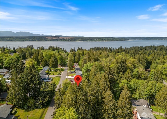 drone / aerial view featuring a water and mountain view and a view of trees