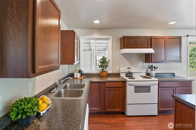 1209 Sherman Ave, Port Orchard, WA 98366 - kitchen featuring white electric range, a sink, under cabinet range hood, dark countertops, and dark wood finished floors