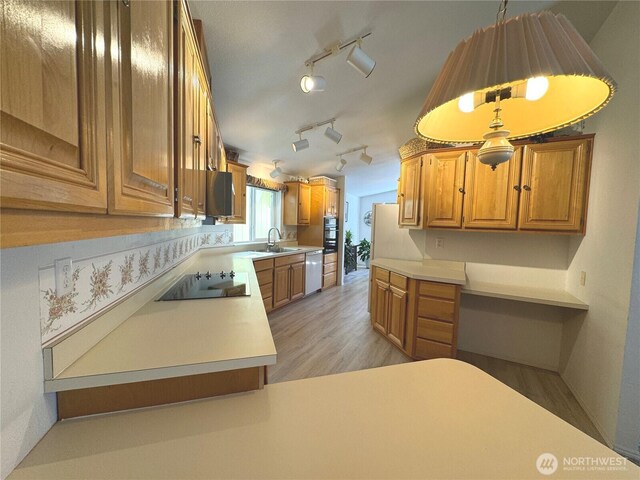 kitchen featuring light countertops, black electric stovetop, light wood finished floors, dishwasher, and brown cabinets