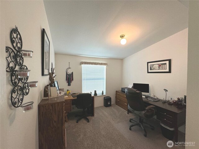 home office with carpet floors and lofted ceiling