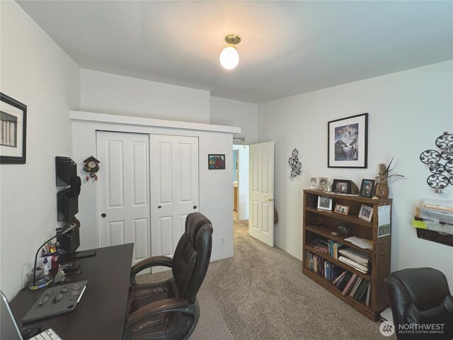 home office with carpet floors