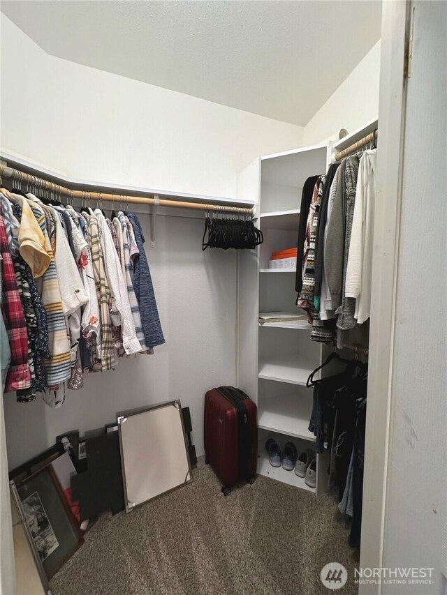walk in closet with carpet flooring and lofted ceiling