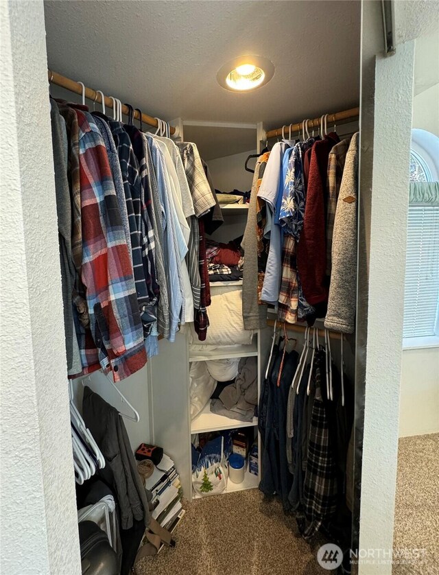 spacious closet featuring carpet flooring