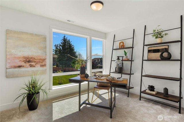 4118 220th Pl SE, Bothell, WA 98021 - view of carpeted office