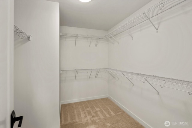 spacious closet featuring light carpet