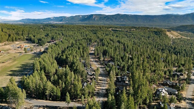 5 Kokanee Loop, Cle Elum, WA 98922