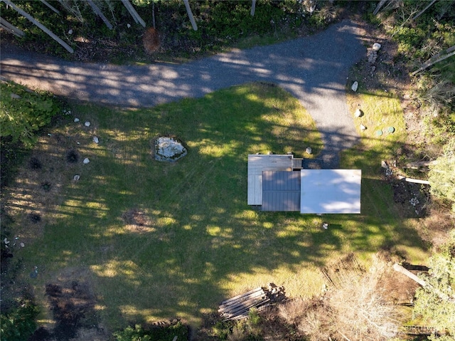 25 Eliza Ln, Lopez Island, WA 98261 - drone / aerial view