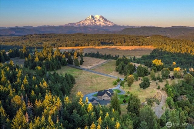 44414 14th Ave E, Eatonville, WA 98328 - photo 3