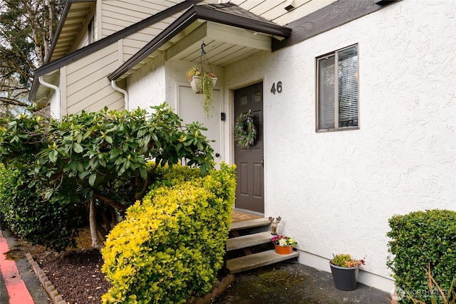 view of exterior entry featuring stucco siding