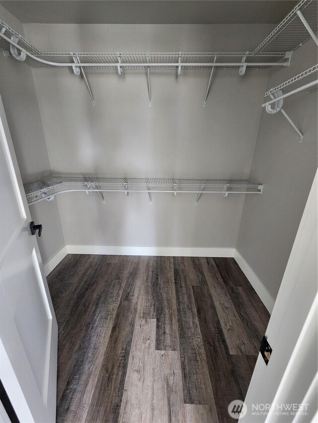 spacious closet with wood finished floors
