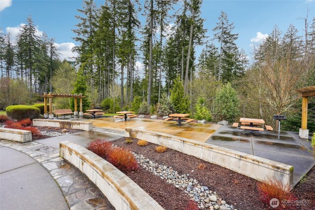 11293 Borgen Loop, Gig Harbor, WA 98332 - photo 25
