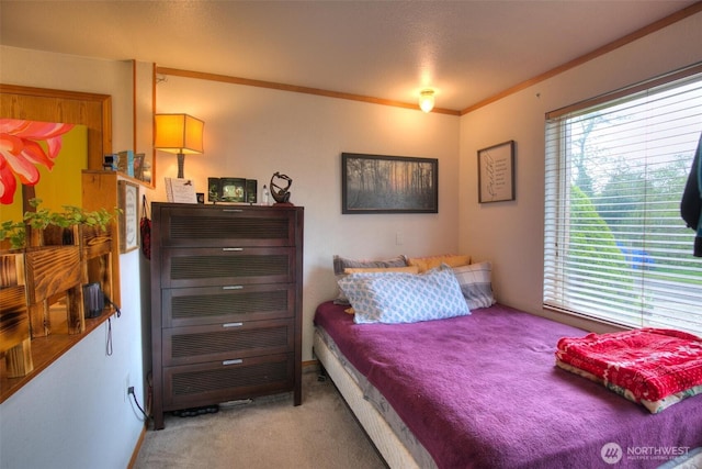 2691 State Route 109, Ocean City, WA 98569 - bedroom with carpet flooring