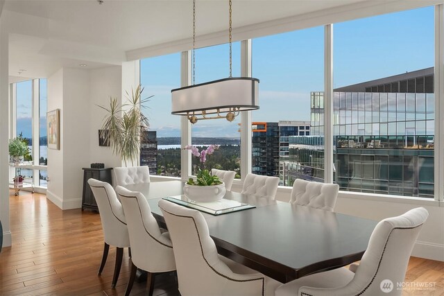 10700 NE 4th St Unit 4202, Bellevue, WA 98004 - dining room featuring healthy amount of natural light and wood finished floors