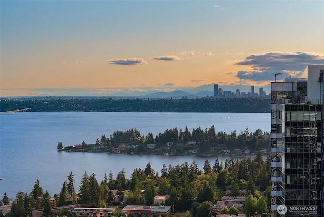 10700 NE 4th St Unit 4202, Bellevue, WA 98004 - water view