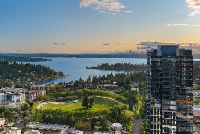 10700 NE 4th St Unit 4202, Bellevue, WA 98004 - view of urban area with a large body of water