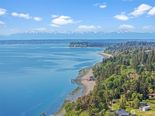 555 Hyak Dr, Fox Island, WA 98333 - photo 24