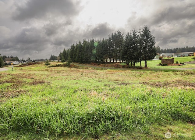 6 Grace Ln, Montesano, WA 98563 - photo 2