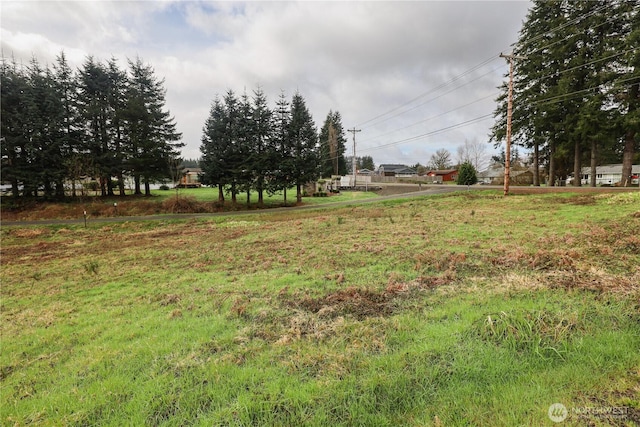 6 Grace Ln, Montesano, WA 98563 - photo 4