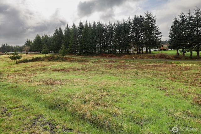 6 Grace Ln, Montesano, WA 98563 - photo 6