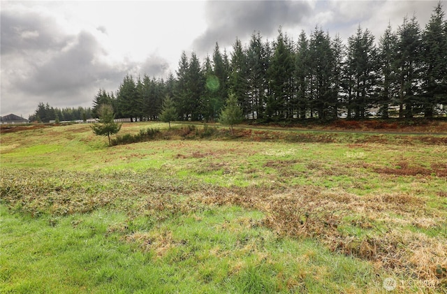 6 Grace Ln, Montesano, WA 98563 - photo 8