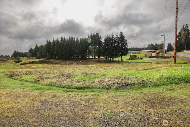 6 Grace Ln, Montesano, WA 98563 - photo 9