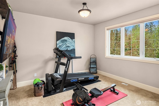 20920 SE 8th Pl, Sammamish, WA 98075 - photo 16