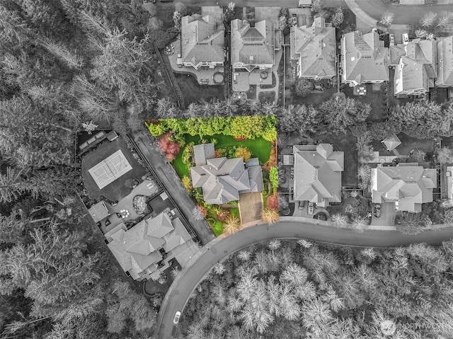 20920 SE 8th Pl, Sammamish, WA 98075 - photo 32