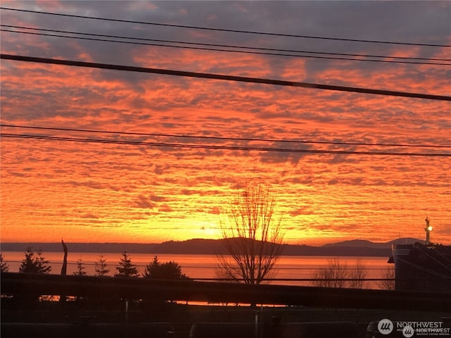 500 Elliott Ave W Unit 309, Seattle, WA 98119 - water view