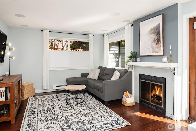 756 N 72nd St Unit 101, Seattle, WA 98103 - living room with wood finished floors, a baseboard radiator, and a glass covered fireplace
