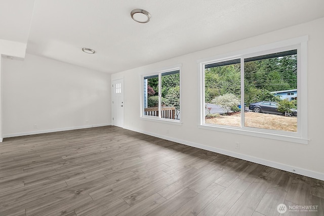 empty room with baseboards and wood finished floors