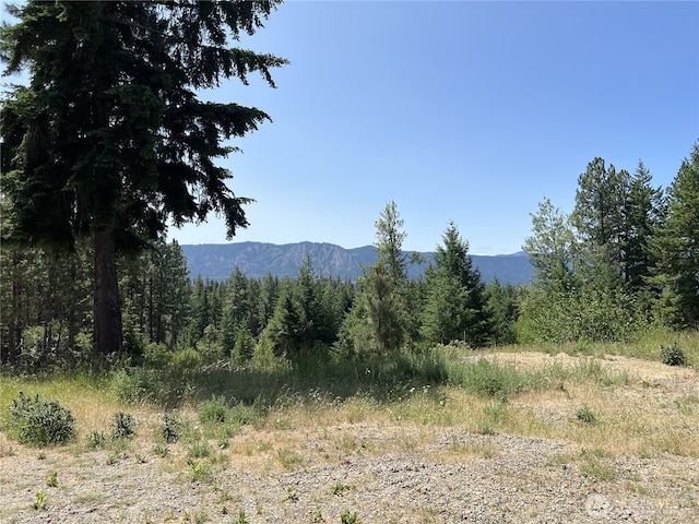 1571 Summit View Rd, Cle Elum, WA 98922 - photo 1