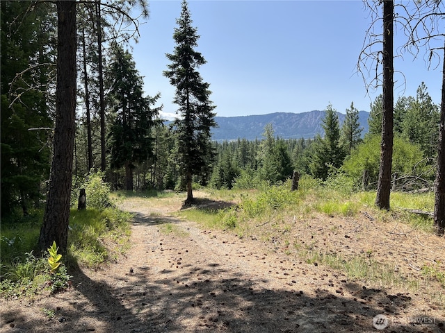 1571 Summit View Rd, Cle Elum, WA 98922 - photo 2