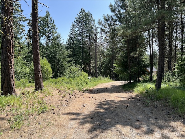 1571 Summit View Rd, Cle Elum, WA 98922 - photo 4