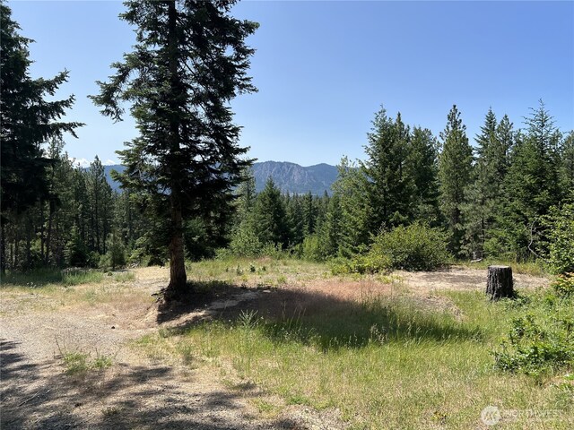 1571 Summit View Rd, Cle Elum, WA 98922 - photo 5
