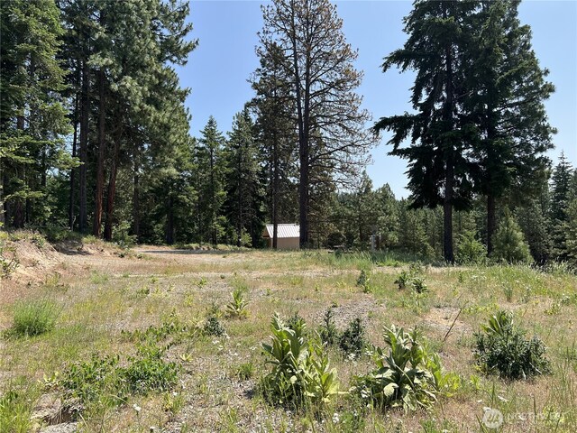 1571 Summit View Rd, Cle Elum, WA 98922 - photo 7