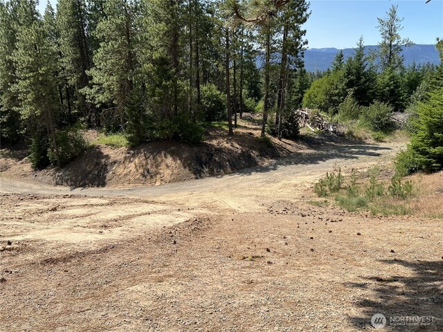 1571 Summit View Rd, Cle Elum, WA 98922 - photo 11