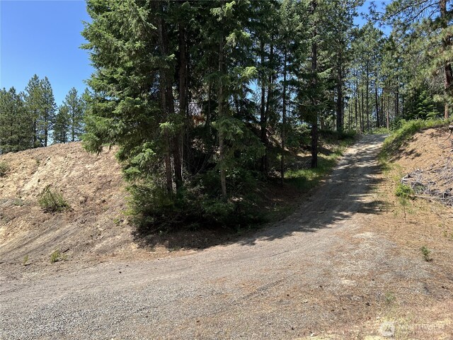 1571 Summit View Rd, Cle Elum, WA 98922 - photo 12