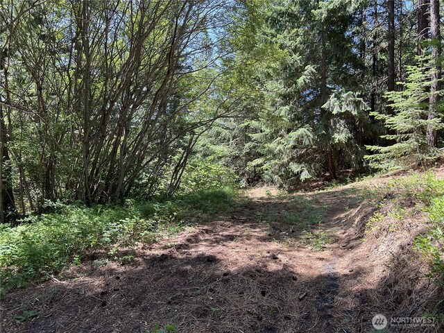 1571 Summit View Rd, Cle Elum, WA 98922 - photo 16