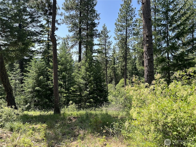 1571 Summit View Rd, Cle Elum, WA 98922 - photo 17