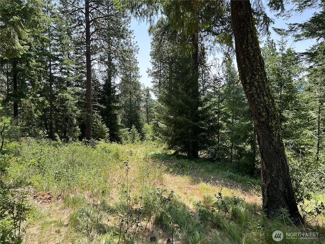 1571 Summit View Rd, Cle Elum, WA 98922 - photo 18