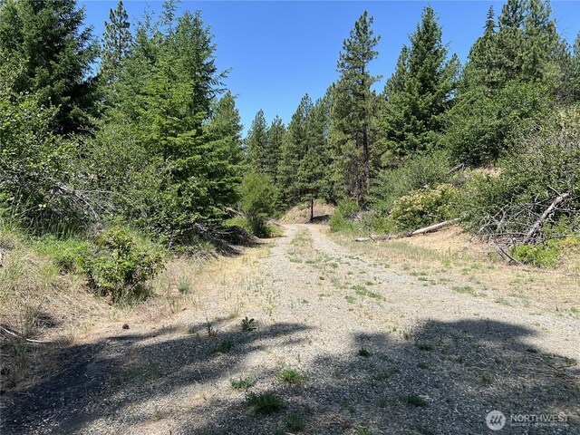 1571 Summit View Rd, Cle Elum, WA 98922 - photo 19