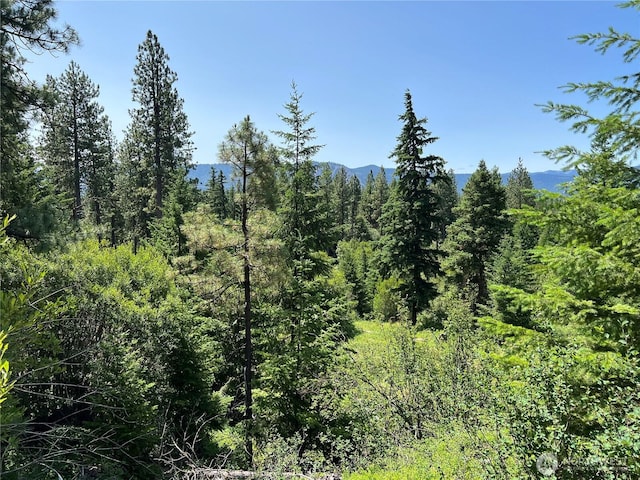 1571 Summit View Rd, Cle Elum, WA 98922 - photo 21