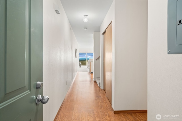 hall featuring baseboards, electric panel, and light wood-type flooring